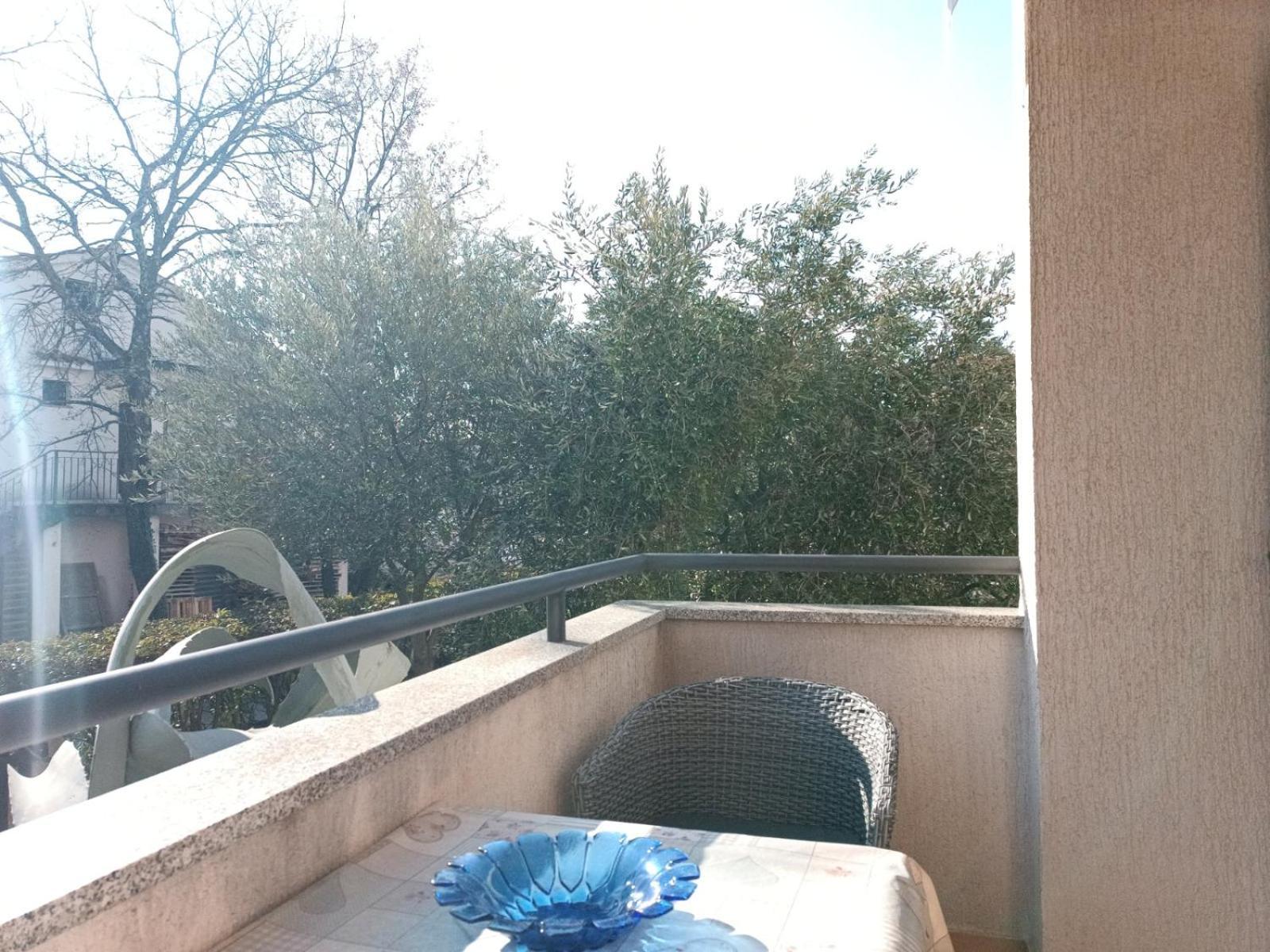 Apartments Jelovac Poreč Eksteriør billede
